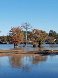 Blanchard Community